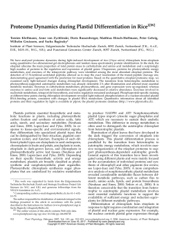 Proteome Dynamics during Plastid Differentiation in Rice1[W]