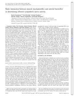 Static interaction between muscle mechanoreflex and arterial