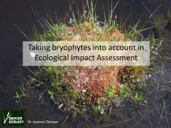 Taking bryophytes into account in Ecological Impact