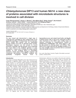 Chlamydomonas DIP13 and human NA14: a new class of proteins