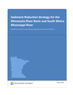 Sediment Reduction Strategy for the Minnesota River Basin and