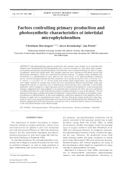 Factors controlling primary production and photosynthetic