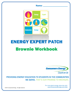 Brownie Workbook - Consumers Energy
