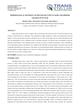 morphological diversity of phytolith types in some
