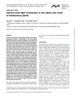 Internal axial light conduction in the stems and roots of herbaceous