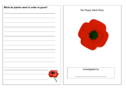 My Poppy Seed Diary Investigated by What do plants need in order