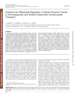 Evidence for Differential Regulation of Renal Proximal Tubular p