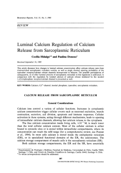 Luminal calcium regulation of calcium release from sarcoplasmic