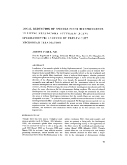 local reduction of spindle fiber birefringence