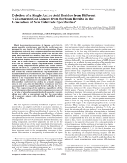 Deletion of a Single Amino Acid Residue from Different