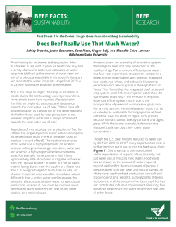 Does Beef Really Use that Much Water?