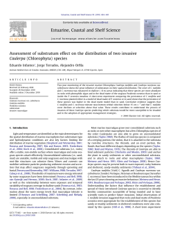 Assessment of substratum effect on the