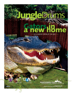 Animal Care: Alligator Habitat From the DD: Zoobilation 101