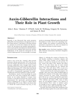 Auxin-Gibberellin Interactions and Their Role in Plant Growth