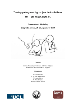 The program of the conference