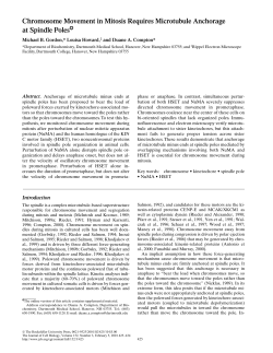 Chromosome Movement in Mitosis Requires