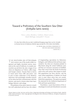 Toward a Prehistory of the Southern Sea Otter (Enhydra lutris nereis)