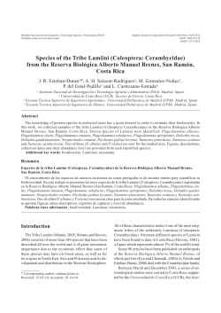 from the Reserva Biol&oacute;gica Alberto Manuel Brenes, San