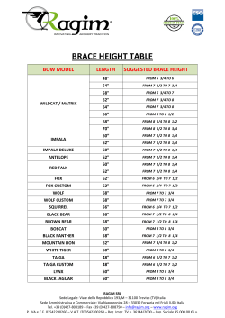 RAGIM BRACE HEIGHT