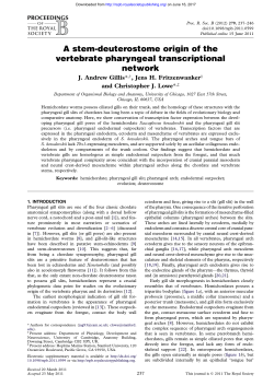A stem-deuterostome origin of the vertebrate pharyngeal