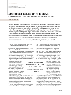 architect genes of the brain