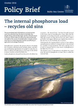 The internal phosphorus load