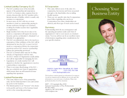 Choosing a Business Entity