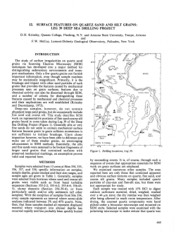 12. Surface Features on Quartz Sand and Silt Grains