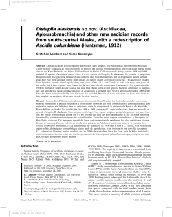Distaplia alaskensis sp.nov. (Ascidiacea, Aplousobranchia) and