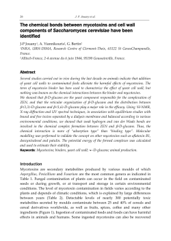 The chemical bonds between mycotoxins and cell wall components