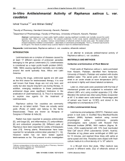 In-Vitro Antileishmanial Activity of Raphanus sativus L. var. caudatus