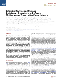 elegans Multiparameter Transcription Factor Network