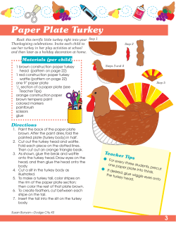 Paper Plate Turkey