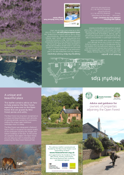 Guidance to Property Owners Adjoining the Open Forest