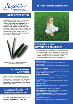 Sapphire Information Sheet