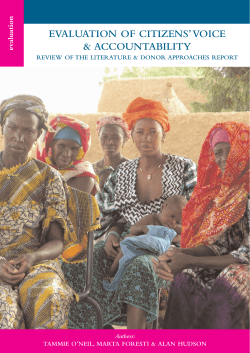 Evaluation of Citizens` Voice and Accountability: Literature