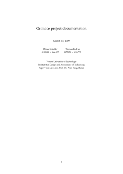 Grimace project documentation