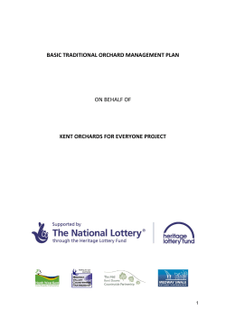 Generic Orchard Management Plan This management plan shows a