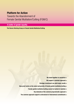 Platform for Action - Donors Working Group on FGM/C