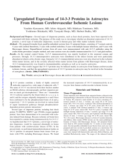 Upregulated Expression of 14-3-3 Proteins in Astrocytes