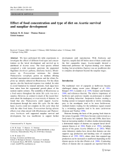 Effect of food concentration and type of diet on Acartia