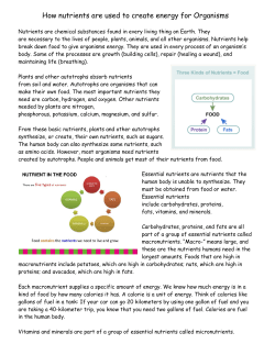 How nutrients are used to create energy for Organisms