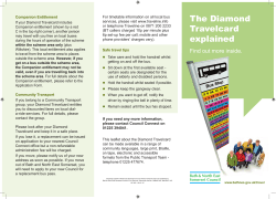 Diamond Travel Card Explained