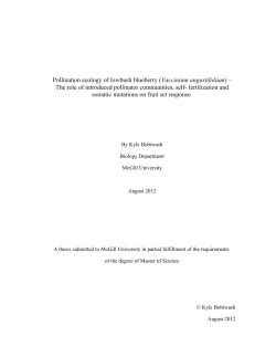 Pollination ecology of Lowbush blueberry (Vaccinium angustifolium