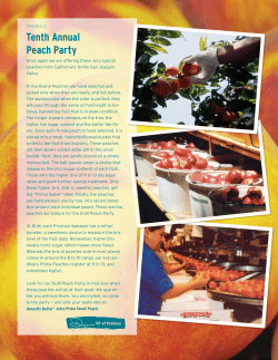 Tenth Annual Peach Party