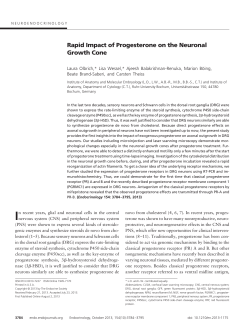 Rapid Impact of Progesterone on the Neuronal Growth Cone