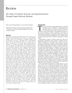 The Study of Cellulose Structure and Depolymerization Through