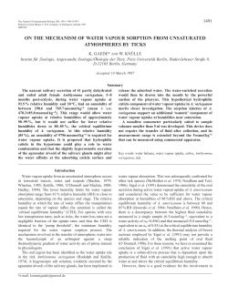 on the mechanism of water vapour sorption from unsaturated