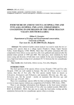 FOOD NICHE OF ATHENE NOCTUA