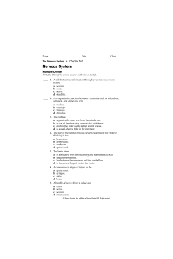 The Nervous System Chapter 18 Test